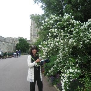 Meet your Posher, Bev